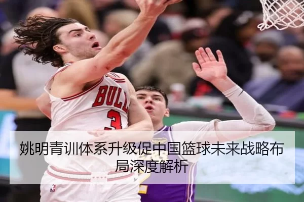姚明青训体系升级促中国篮球未来战略布局深度解析